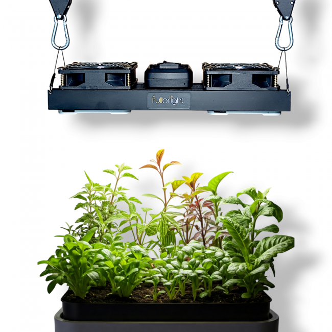 Fullbright 2000 Quantum Cob Bitki Yetiştirme Lambası(200w)