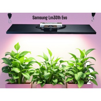 240w Samsung Lm301h Evo King Brite(board)  Bitki Yetiştirme Lambası