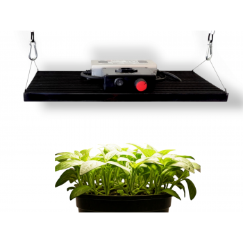 120w Samsung lm301H Evo (King Brite Board) Bitki Yetiştirme Lambası